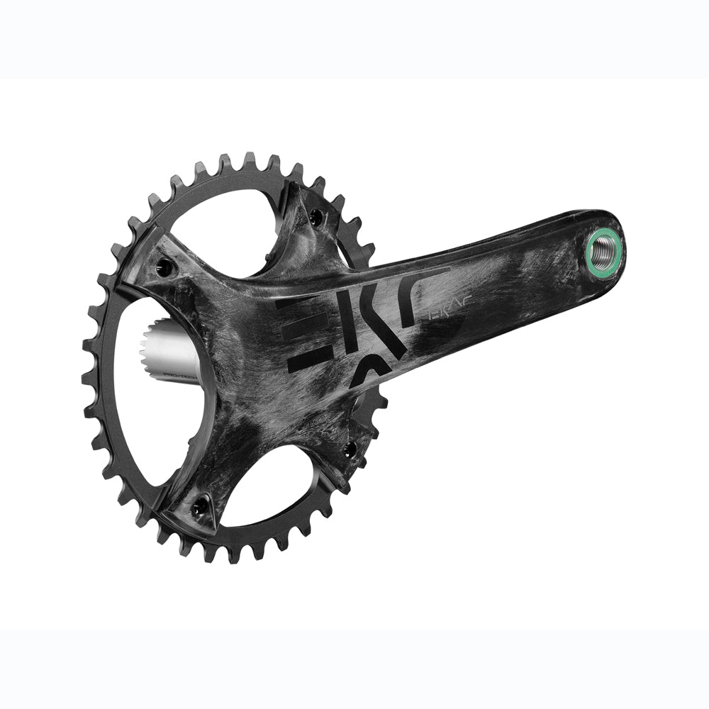 Campagnolo EKAR 13 Speed Crankset 172.5mm 42 Tooth