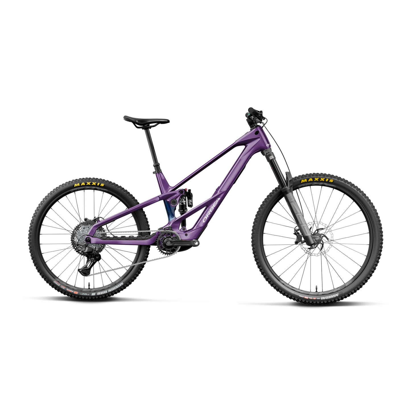 Royal Plum