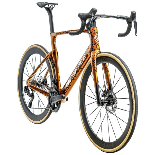 Why We LOVE Winspace Bikes