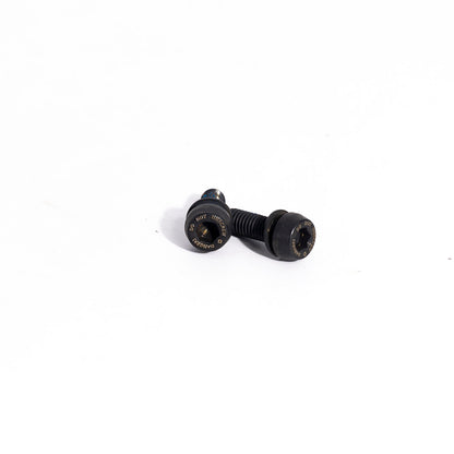 Campagnolo Front Caliper Screws - 2 Pack