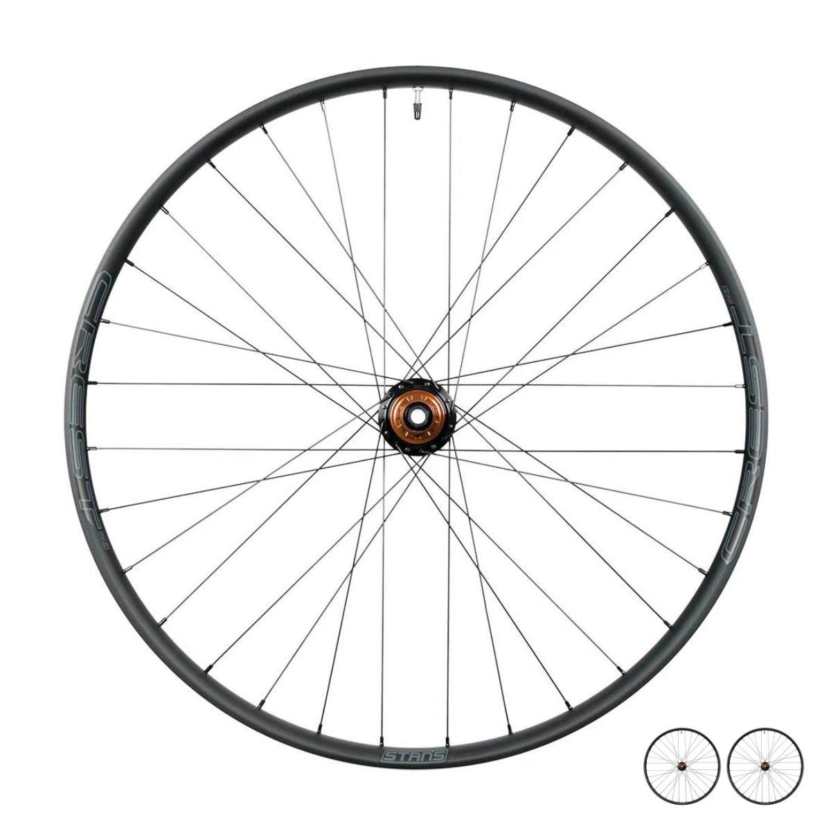 CREST MK4 ON DT350 - 29" WHEELSET