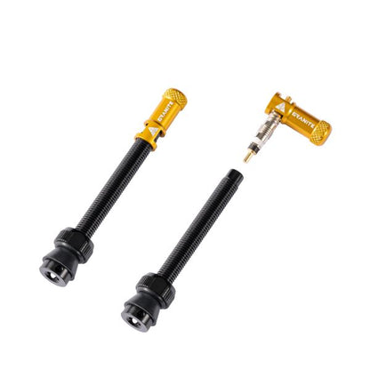 2021_Juicy Nipple_GOLD_60mm