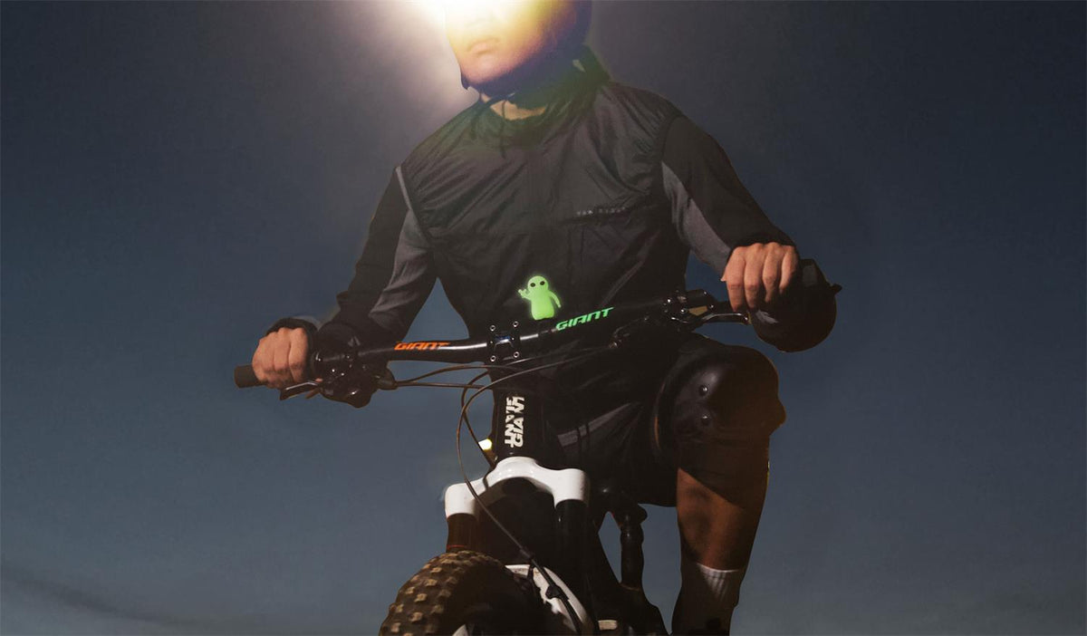 characterbikedomestique-photo-4