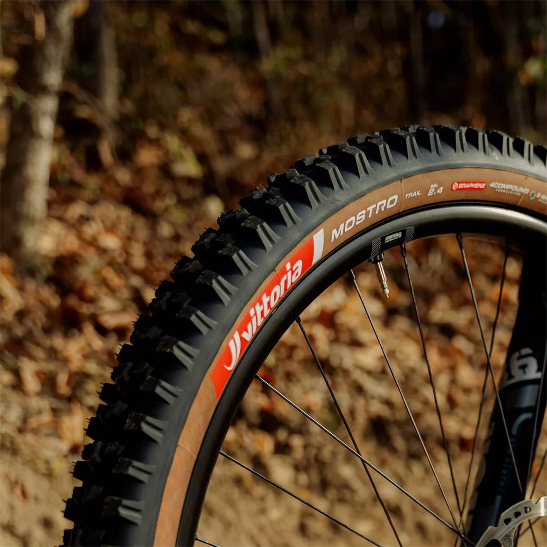 mostro-trail-07