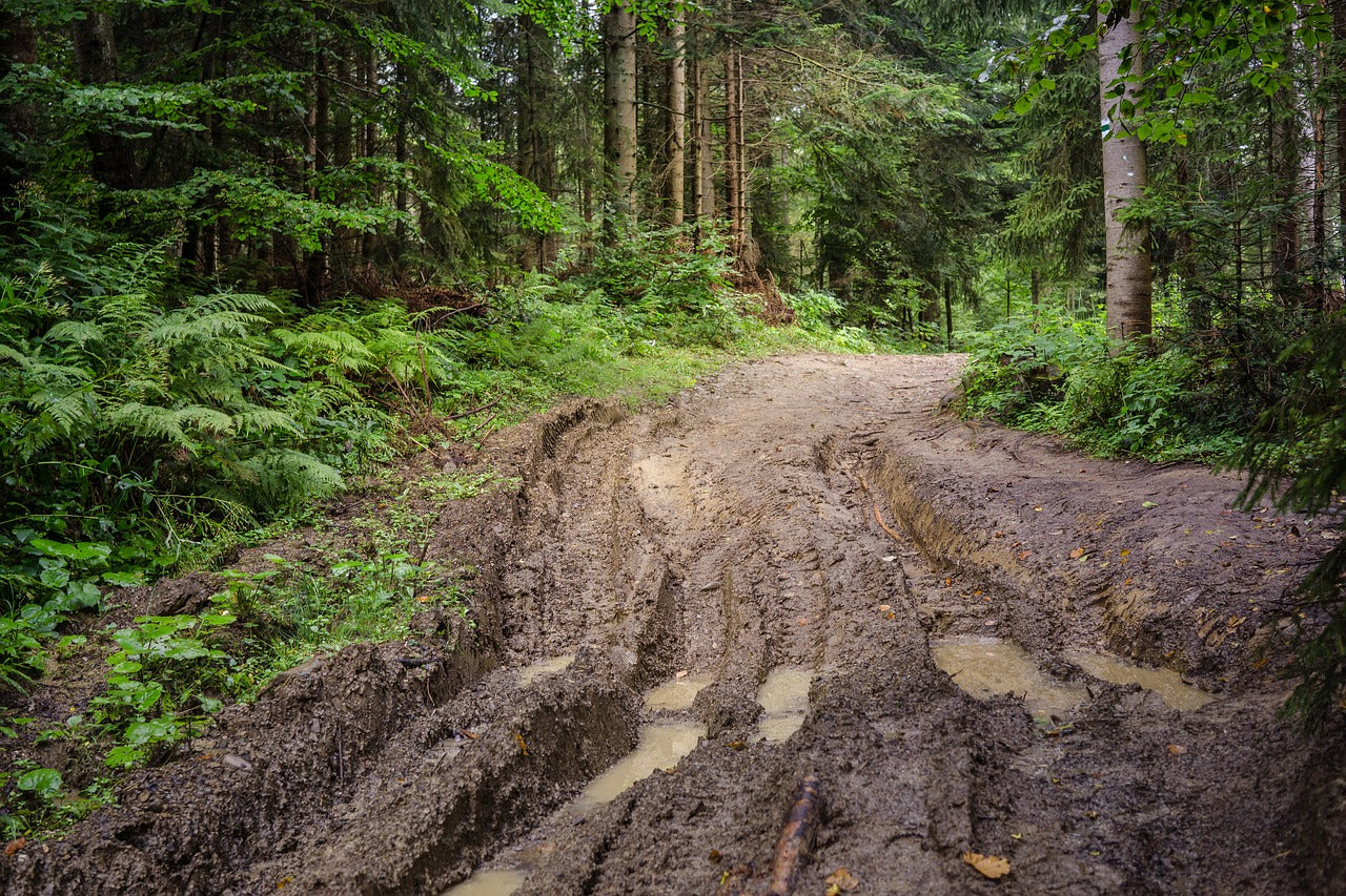 mud MTB