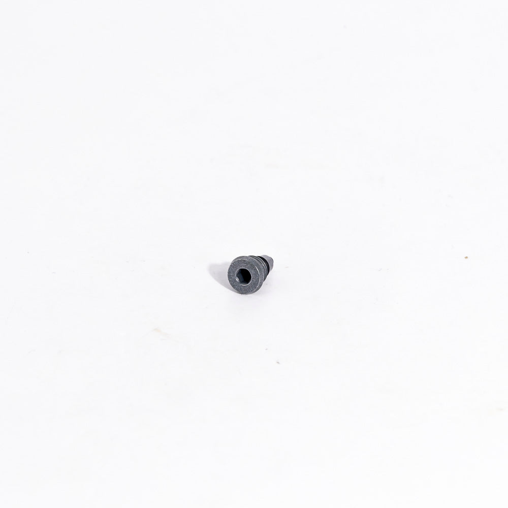 Campagnolo Ergopower Disc Brake Bleed Screw - 1 Pack