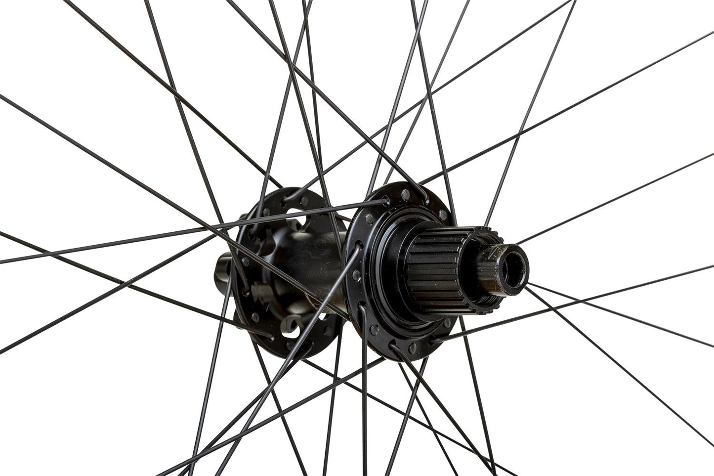 Proterra_Tough_i30_7