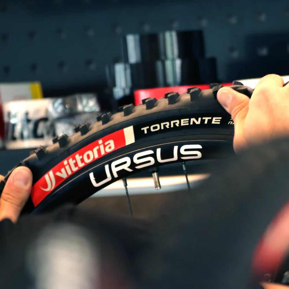 08-torrente-xc-race-set-up_1