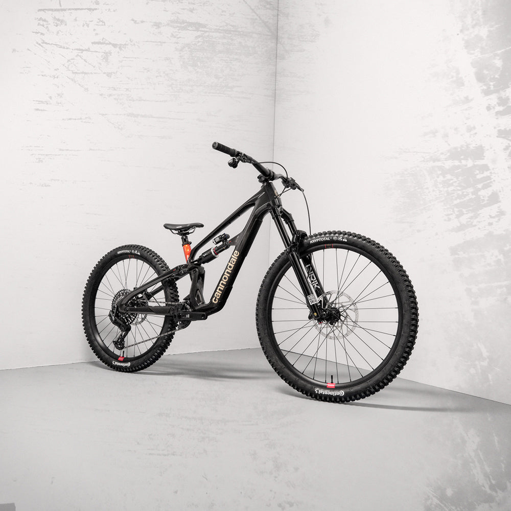 Cannondale Bad Habit 1 Raw