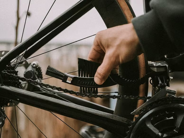 Dynamic Chain Care Premium Box - Image 6