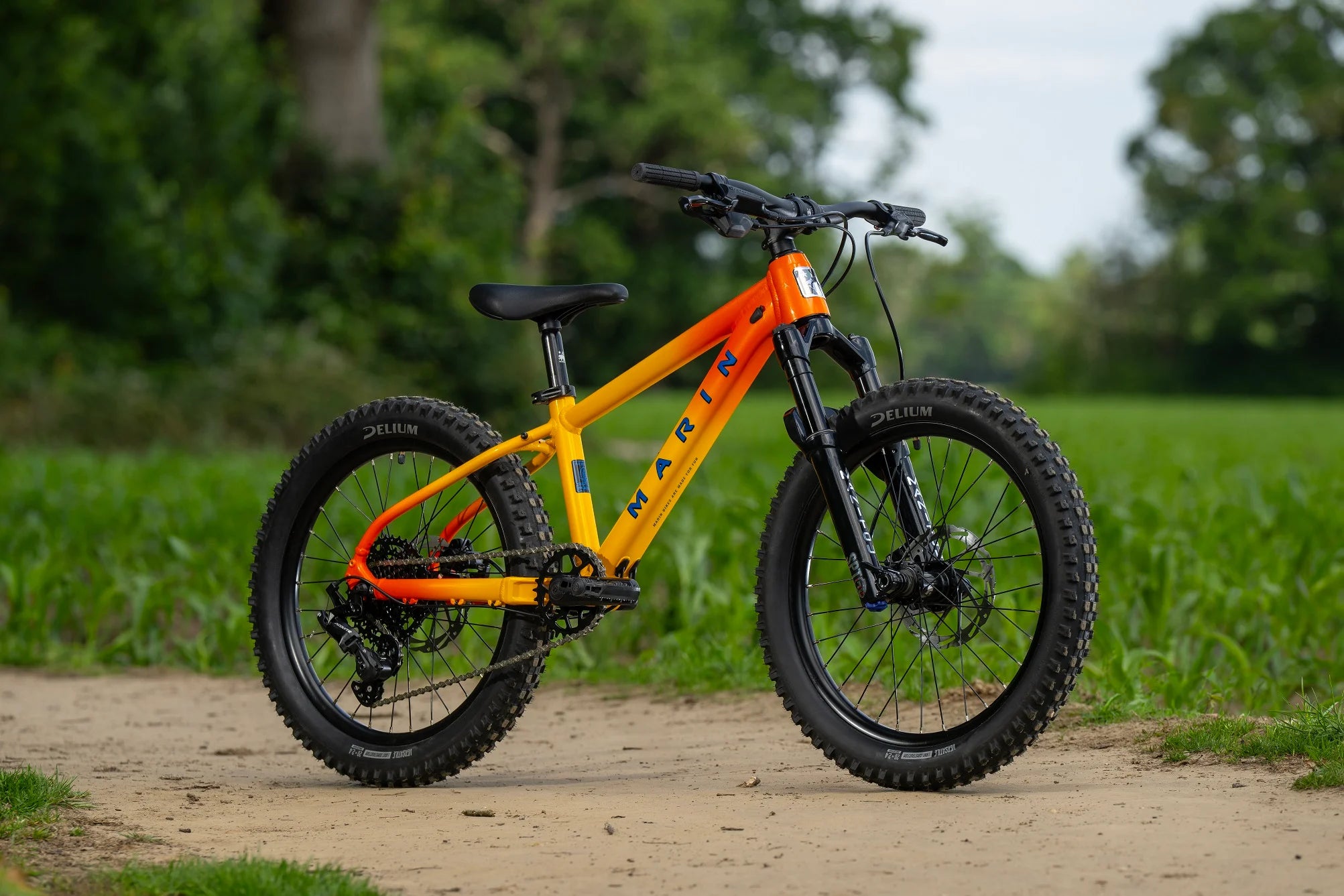 MARIN_SAN_QUENTIN_20 Angled