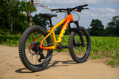 MARIN_SAN_QUENTIN_20 Rear