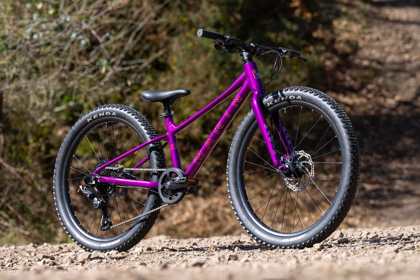 Marin Bear Valley 24" Angle