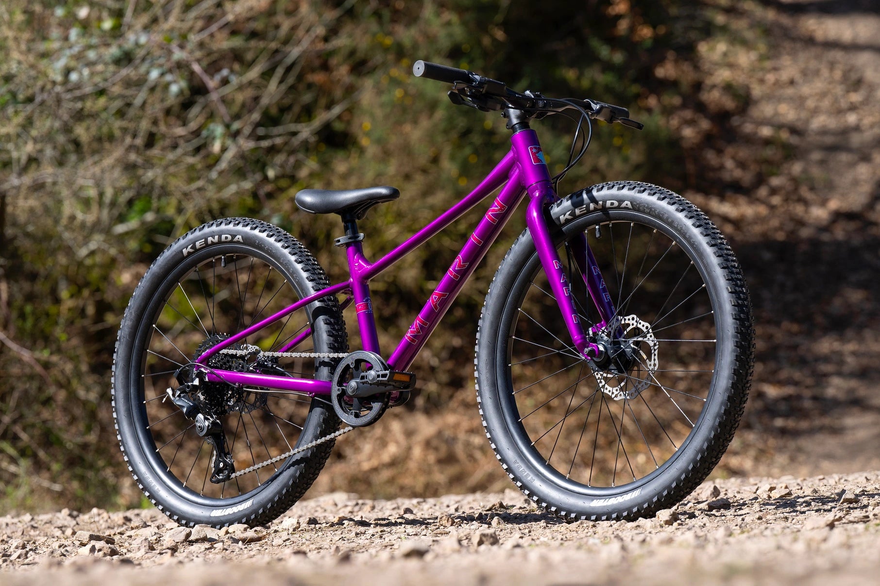 Marin Bear Valley 24" Angle