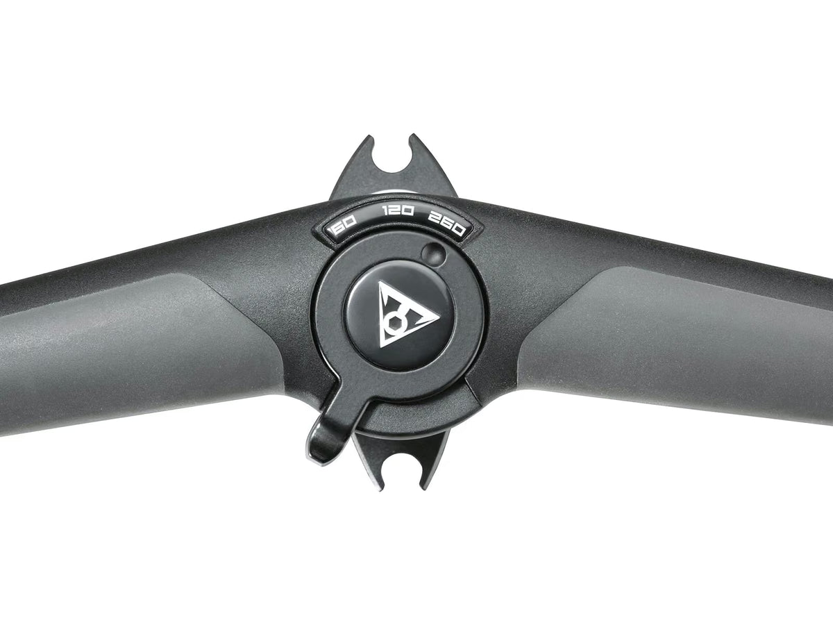 Topeak Joeblow Ace DX 260psi - Image 2