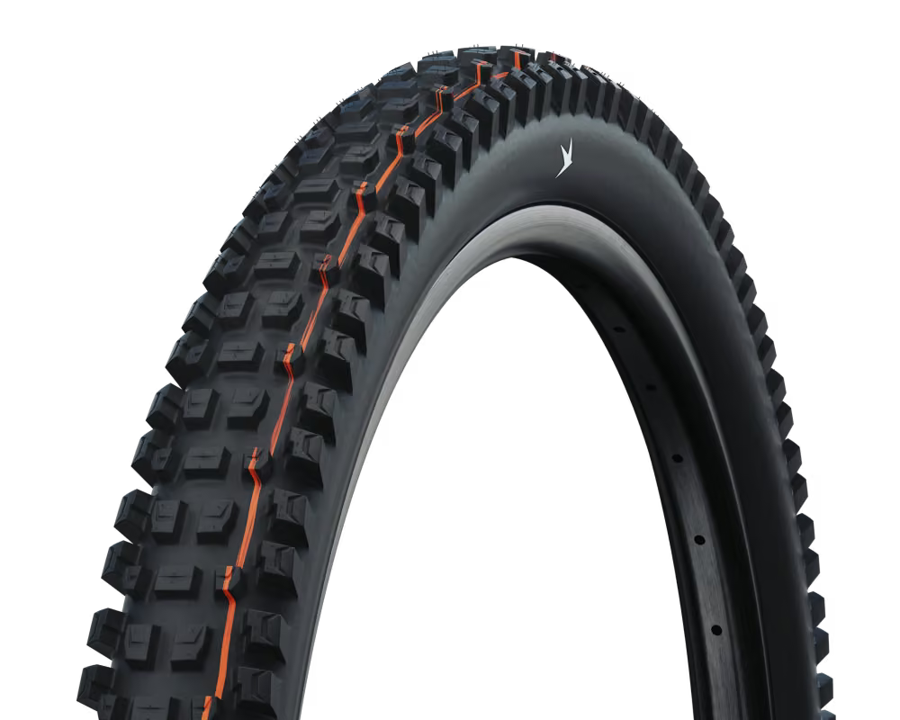 Schwalbe Albert Radial 29" - Image 2