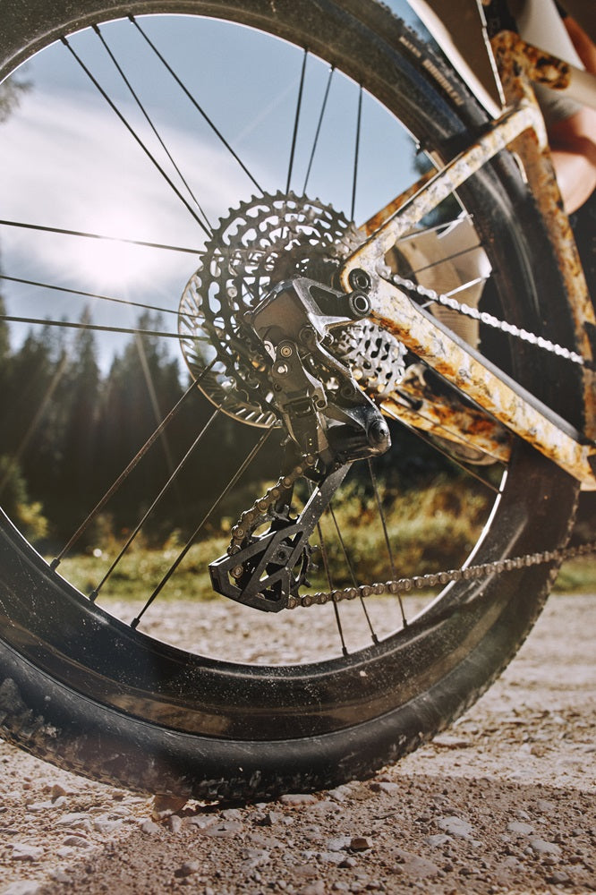 Campagnolo Bora X gravel wheelset