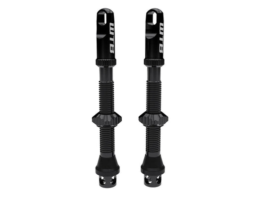 Max_Flow_Tubeless_Valves_1