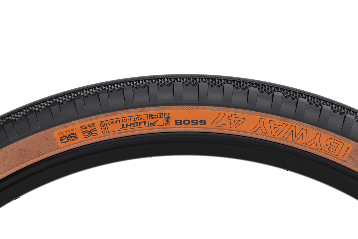 WTB Byway tan 1