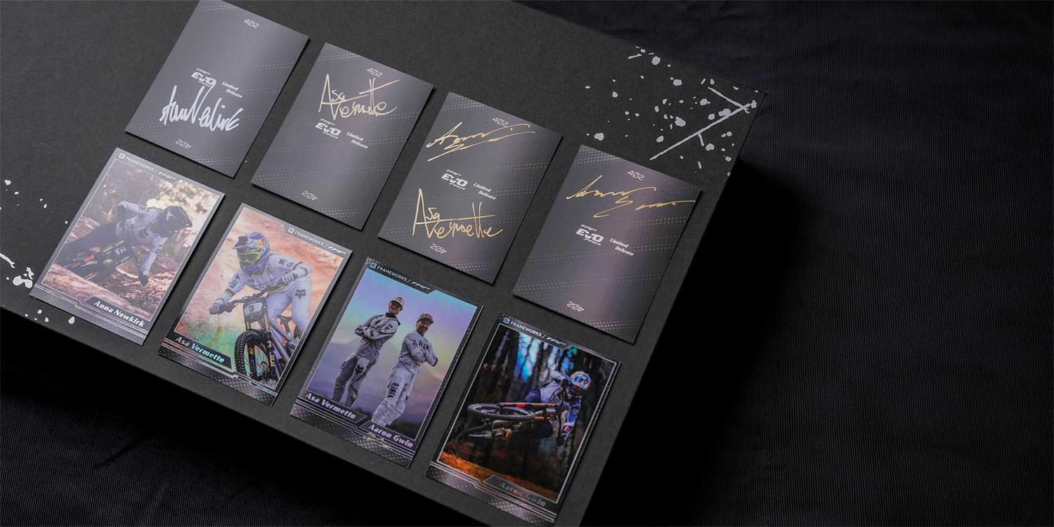 TRP LIMITED EDITION BRAKESET (5)