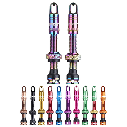 SPANK_FRATELLI_TUBELESS_VALVES