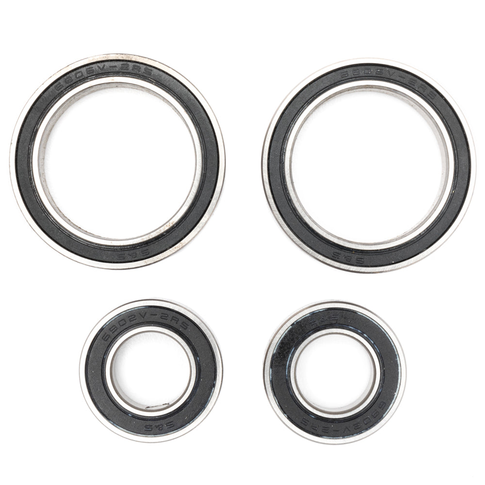 GT Sanction Bearing Kit Also Fits Fury Main Pivot 
