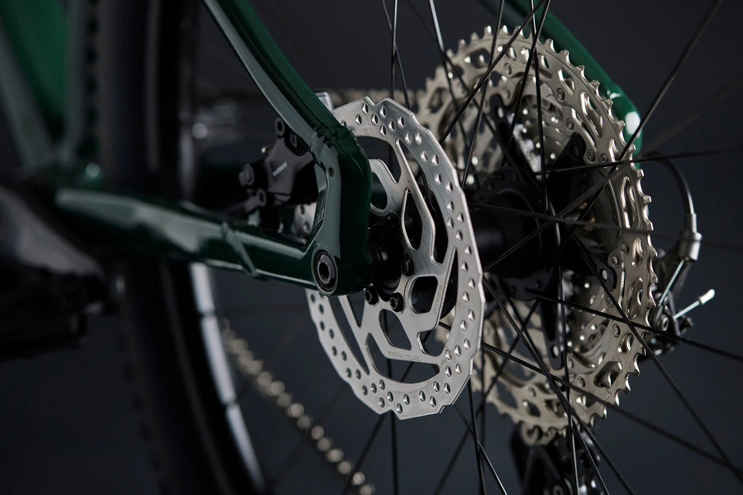 my25-charger-a1-sage-slate-beauties-rear-dropout-xl